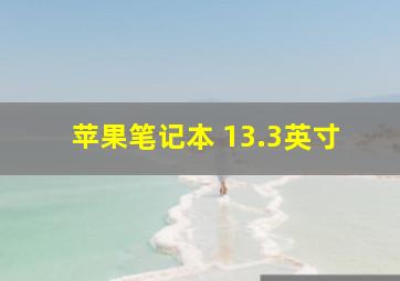 苹果笔记本 13.3英寸